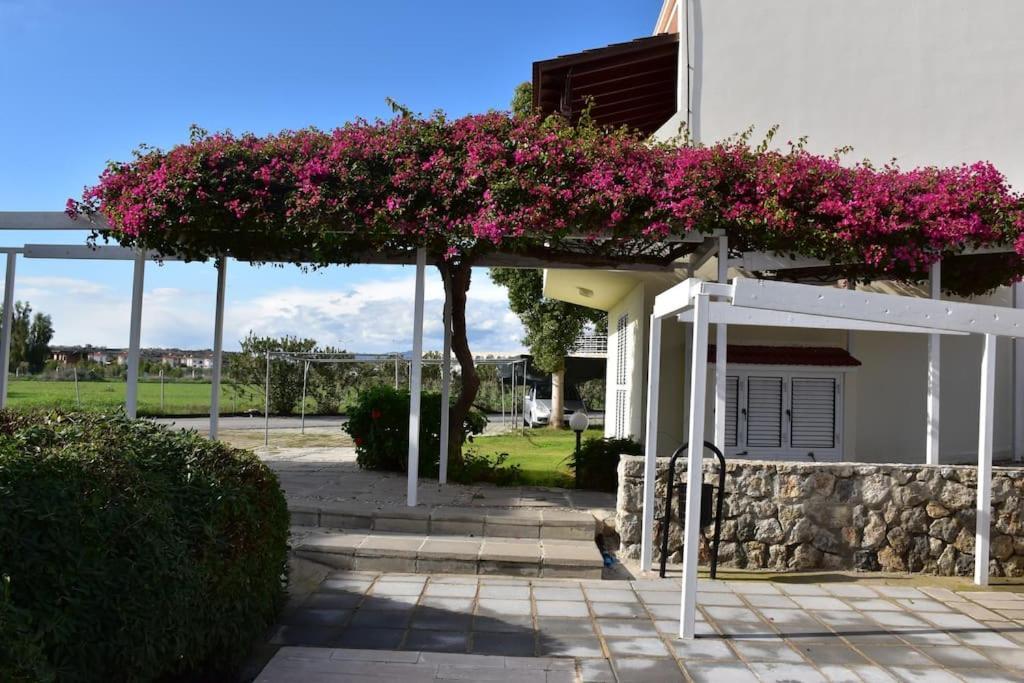 Villa Sunset Boghaz Exterior photo